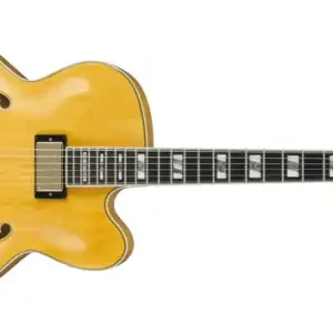 Garantierte Lieferung Ibanez PM2-AA Pat Metheny Antique Amber