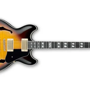 Ibanez JSM10-VYS John Scofield Signature E-Gitarre Vintage Yellow Sunburst Aktuell