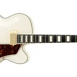 Preiswert Ibanez AF75TDG-IV E-Gitarre