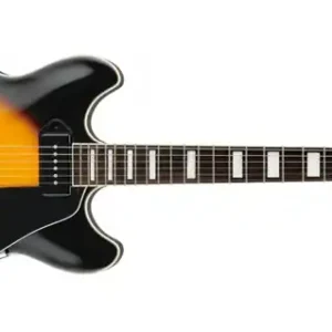 Sichere Zahlung Ibanez ASR70-VB E-Gitarre