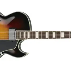 Ibanez AKJ95-VYS E-Gitarre Direktkauf
