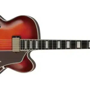 Geprüft Ibanez AFJ91-SRD E-Gitarre