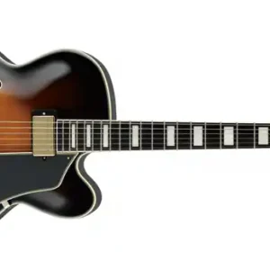 Ibanez AFJ95-VSB E-Gitarre Direkt Vom Hersteller