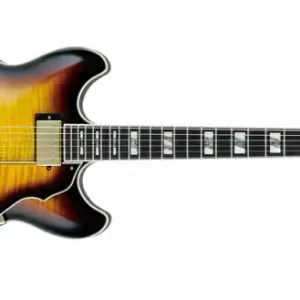 Sichere Zahlung Ibanez AS153-AYS Artcore