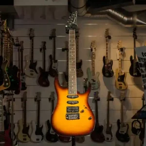 Garantierte Lieferung Ibanez RG460VFM-BBT E-Gitarre