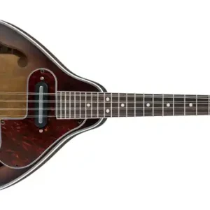Preis Gesenkt Ibanez M510E-OVS Mandoline