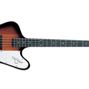 Epiphone Thunderbird IV Reverse VS Direktkauf