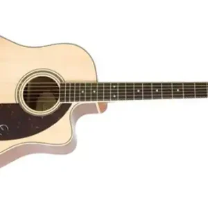Epiphone AJ-220 SCE NA Westerngitarre Sonderaktion