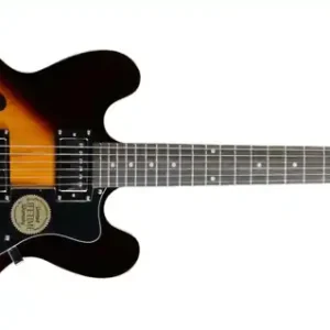 Versand Am Gleichen Tag Epiphone DOT VS E-Gitarre