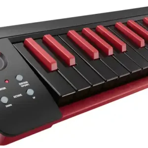 Korg microKEY 25 BKRD USB/MIDI Keyborad Top-Angebot