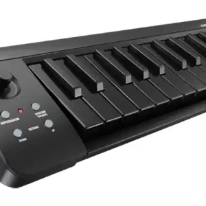 Kostenfreie Lieferung Korg microKEY 25 BKBK USB/MIDI Keyborad