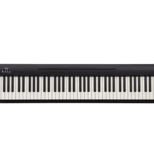 Roland FP-10 BK Stagepiano Garantierte Lieferung