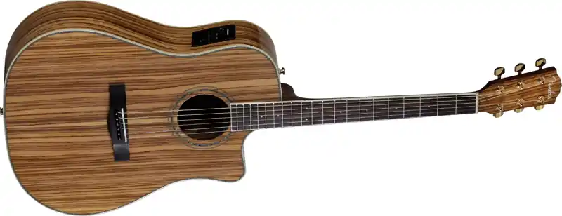 Fender CD-220 SCE All Zebrano Westerngitarre Echt