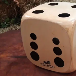 Sofort Bestellen ERakkustik Bass Cajon Würfel