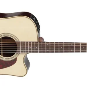 Takamine P5DC Westerngitarre mit Cool Tube inkl. Koffer Neuheit