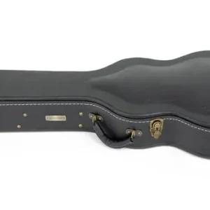 Tonträger TW20SA Formkoffer Semiacoustic Kostenfreie Lieferung