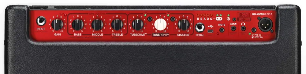 TC Electronic BG 250/115 Bass Combo Preisreduziert