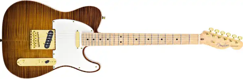 Kostenloser Rückversand Fender Select Telecaster BMN VB Gold