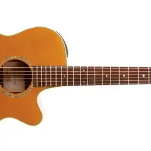 Takamine EG269VGT FXC Westerngitarre Neuheit