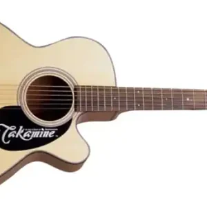 Sichere Zahlung Takamine EG220C Westerngitarre