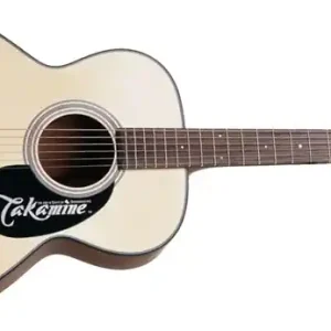 Versand Am Gleichen Tag Takamine G220 NEX Westerngitarre
