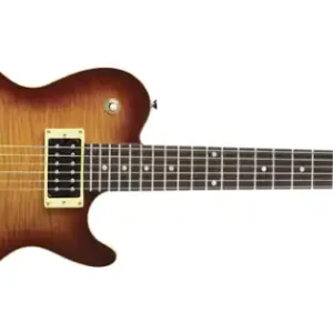 Line 6 JTV-59 James Tyler Variax Modeling-Gitarre Heißes Angebot