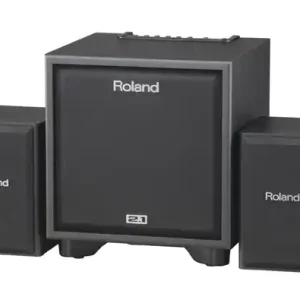 Roland CM-110 2.1 Monitor-System Sale