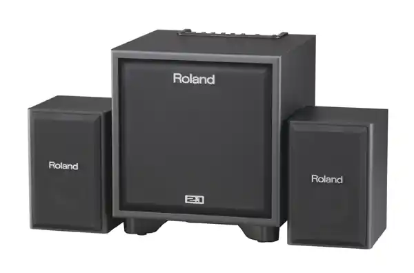 Roland CM-110 2.1 Monitor-System Sale