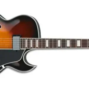 Ibanez AKJ85-VYS E-Gitarre Heißes Angebot