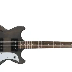 Günstig Ibanez AMF73-TGF E-Gitarre