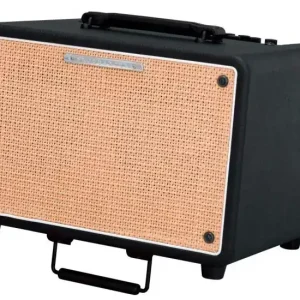 Saisonangebot Ibanez T150S Troubadour Combo