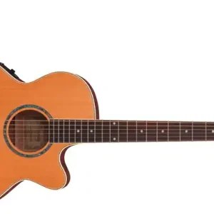 Ibanez AEG15E-LG Westerngitarre Mega-Angebot