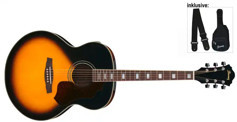 Ibanez SGT230E-VS Westerngitarre Top-Angebot