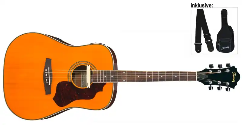 Ibanez SGE120-ATN Westerngitarre Finale Aktion