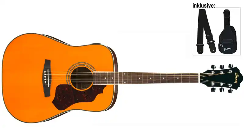 Ibanez SGT120E-ATN Westerngitarre Direktkauf