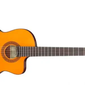 Expressversand Ibanez G5TECE-AM Konzertgitarre
