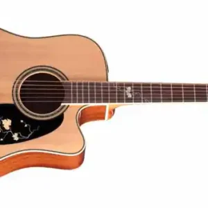 Heißes Angebot Takamine EG50TH Westerngitarre