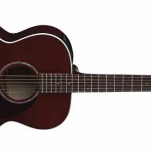 Takamine EG430S-WR Westerngitarre Gratis Versand