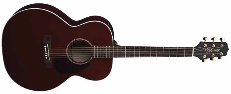 Takamine EG430S-WR Westerngitarre Gratis Versand