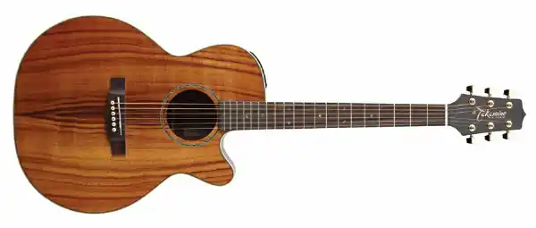 Takamine EG544CK Westerngitarre Top-Angebot