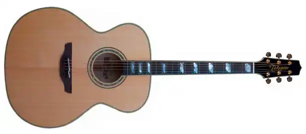 Saisonangebot Takamine F250SM Westerngitarre