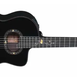 Takamine LTD 2012C MICHI Limited Klassikgitarre Jetzt Kaufen