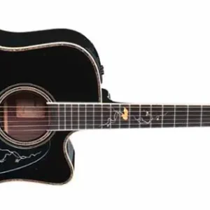Nur Für Kurze Zeit Takamine LTD 2012 MICHI Limited Westerngitarre