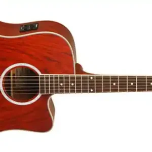 Tanglewood TW28CEXB Evolution Exotic Westerngitarre Schneller Versand