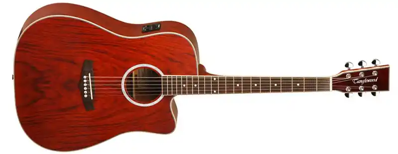Tanglewood TW28CEXB Evolution Exotic Westerngitarre Schneller Versand