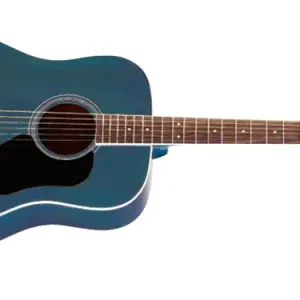 Walden D-351 SU Westerngitarre Wochenendangebot