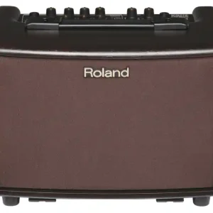 Markenprodukt Roland AC-33 RW Acoutstik Amp stereo