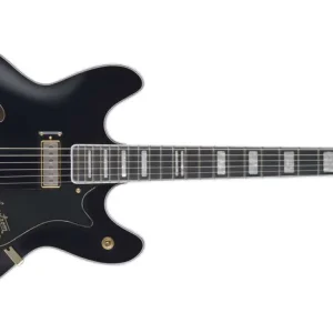 Sichere Zahlung Hagstrom 67 Viking II Black Gloss