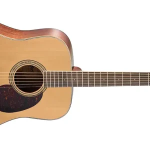 Cort Earth 100 NS Westerngitarre Neue Ware