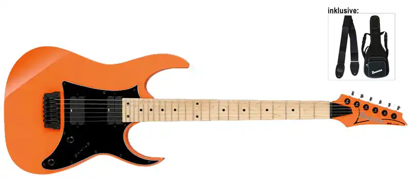 Online Kaufen Ibanez RG331M-BOR E-Gitarre